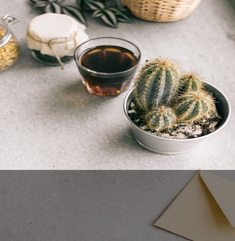 photo-of-green-cactus-plant-beside-clear-drinking-glass-1056720