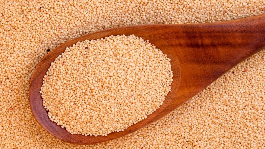 Graines d'Amarante dans une cuillère en bois